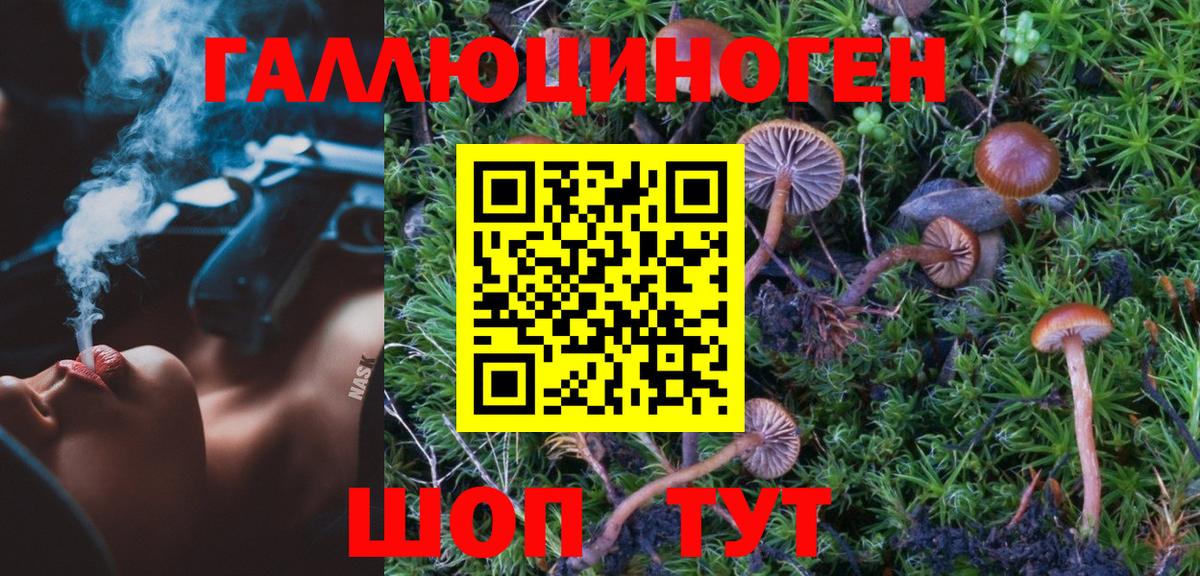 Галлюциногенные грибы Magic Shrooms Новоуральск